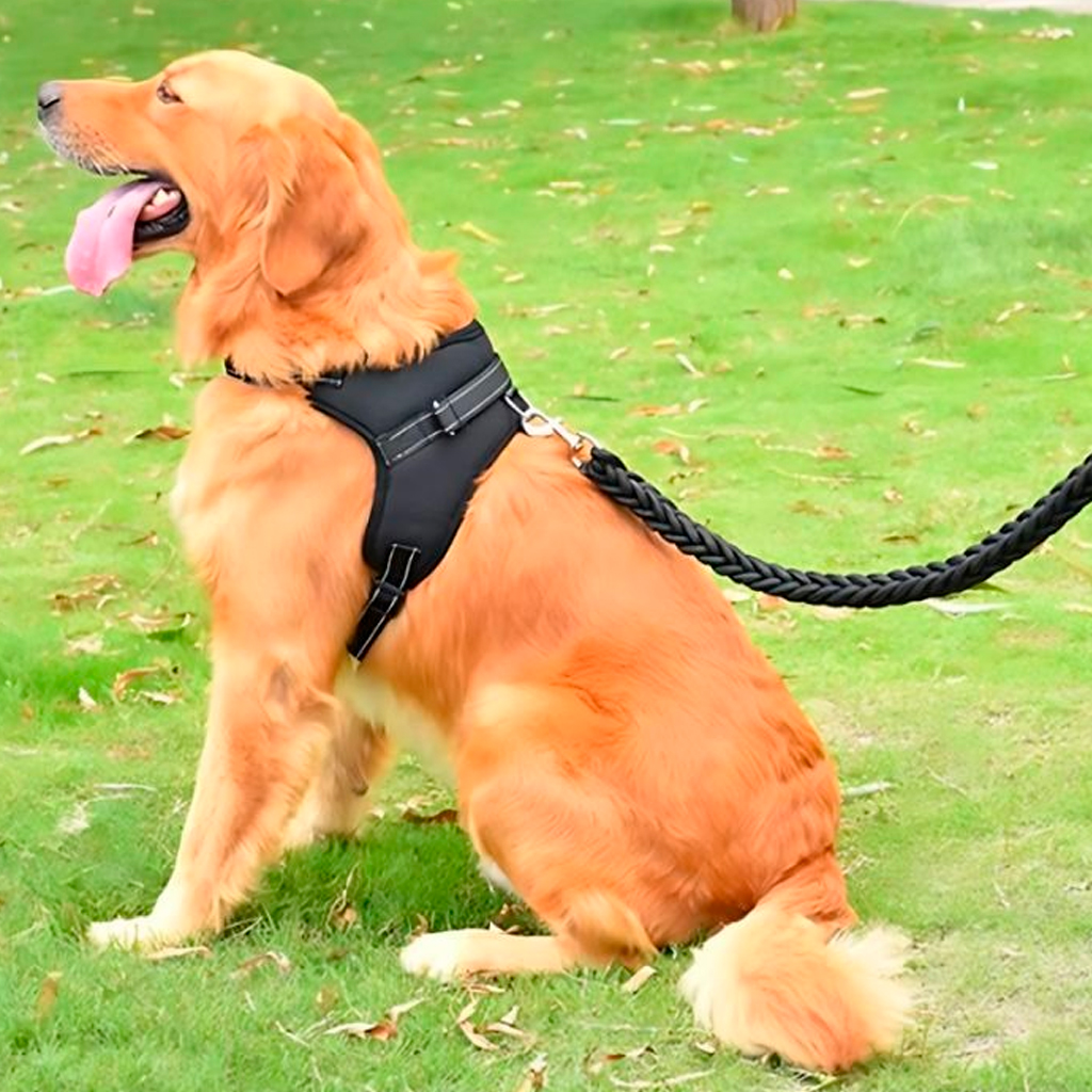 pretal-acolchonado-para-perros